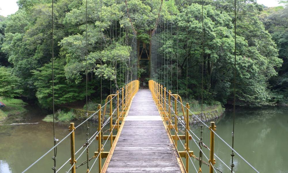 上谷池の吊り橋